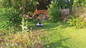 I tried setting up my first lawnbot and the experience nearly broke me – these are the mistakes I made that you need to avoid