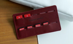 Waterfield Magnetic Case review: The most lavish way to carry your Switch 2 around