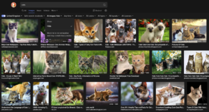 Sick of seeing AI images everywhere online? DuckDuckGo will let you filter out the slop from your search results