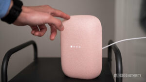 These Google Nest speakers are getting three new voices