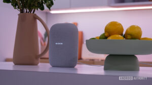 ‘Ok Google, turn on the lights’ is mysteriously broken for many users right now