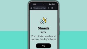 NYT Strands hints and answers for Monday, July 21 (game #505)