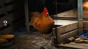 ARC Raiders Dog Collar location